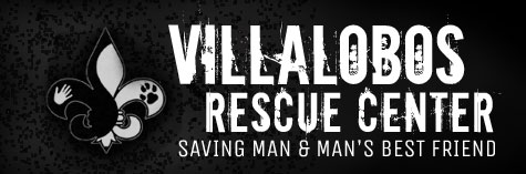 RHINO says - Villalobos Rescue Center - Life 4 Paws, Inc.